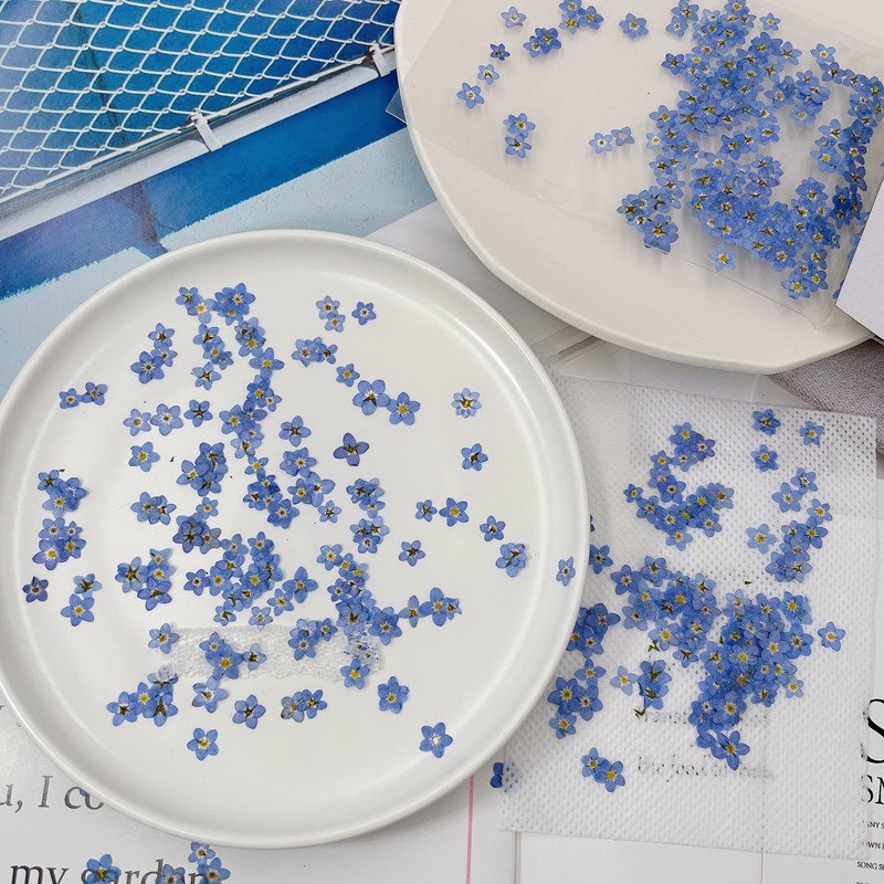 Wholesale Top Quality Natural Dry Press Flower DIY Real Dried Mini Pressed Flowers For Nail Art Frame Decoration
