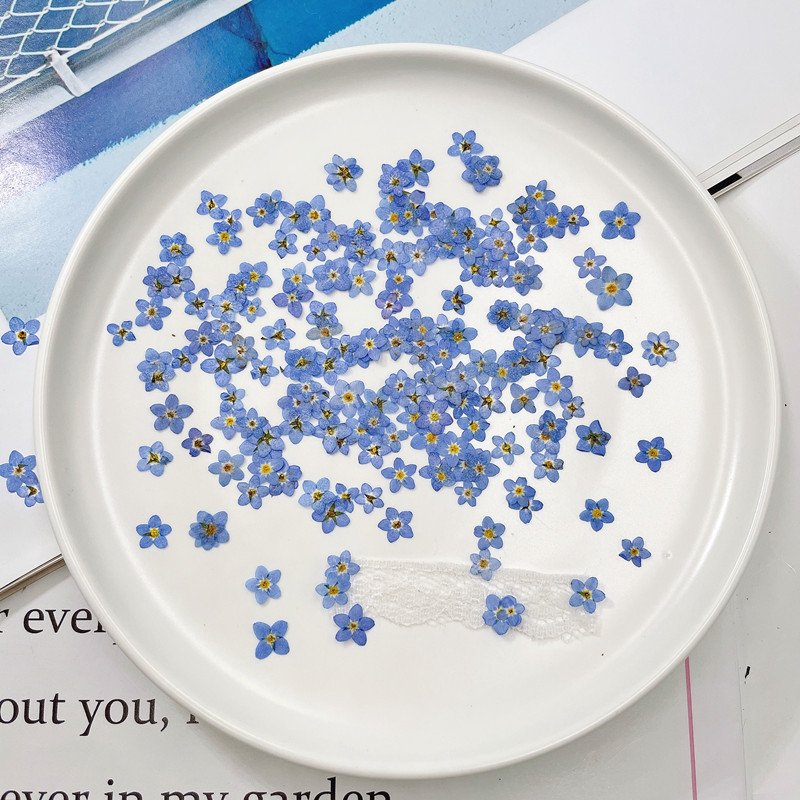 Wholesale Top Quality Natural Dry Press Flower DIY Real Dried Mini Pressed Flowers For Nail Art Frame Decoration