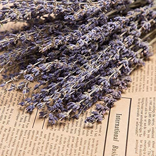 Hfloral Dried Lavender Bundles Natural Dried Lavender Dried Flowers Stems for Home Wedding Decoration Flower Arrangements Home