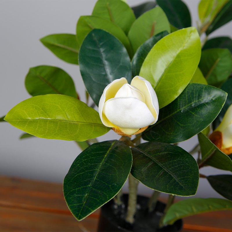 40CM Fake Tropical Bonsai Trees Artificial Magnolia Orchid Plant With White Flower Indoor Decor