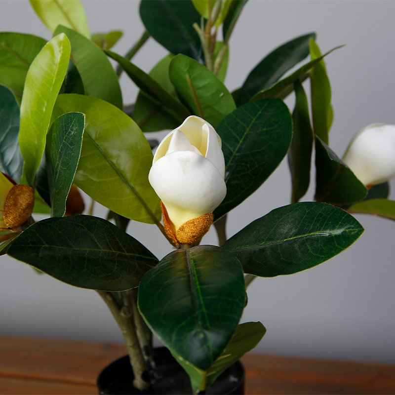 40CM Fake Tropical Bonsai Trees Artificial Magnolia Orchid Plant With White Flower Indoor Decor