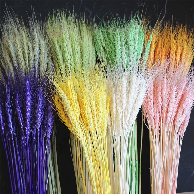 Pastoral Style Dried Wheat Flower Wreath Preserved for Home Decoration Wedding Parties Flower Arrangement for Opening Basket