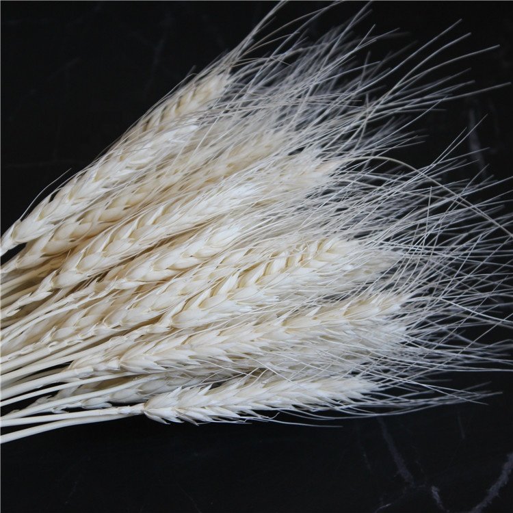 Pastoral Style Dried Wheat Flower Wreath Preserved for Home Decoration Wedding Parties Flower Arrangement for Opening Basket