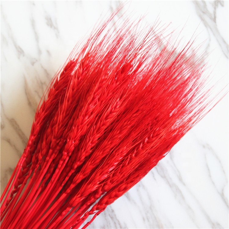 Pastoral Style Dried Wheat Flower Wreath Preserved for Home Decoration Wedding Parties Flower Arrangement for Opening Basket