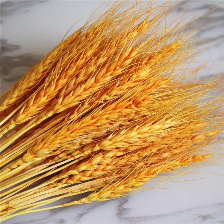Pastoral Style Dried Wheat Flower Wreath Preserved for Home Decoration Wedding Parties Flower Arrangement for Opening Basket
