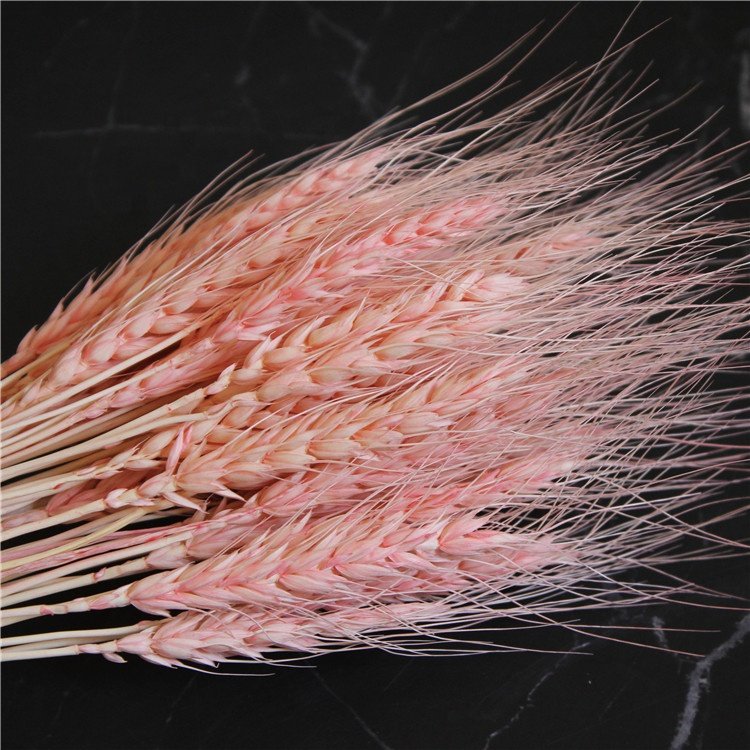 Pastoral Style Dried Wheat Flower Wreath Preserved for Home Decoration Wedding Parties Flower Arrangement for Opening Basket