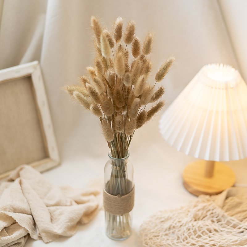 Factory Supply High Quality Bunny Tail Grass Dried Bouquet Rabbit Tail Grass For Home Decor Decorative Flowers
