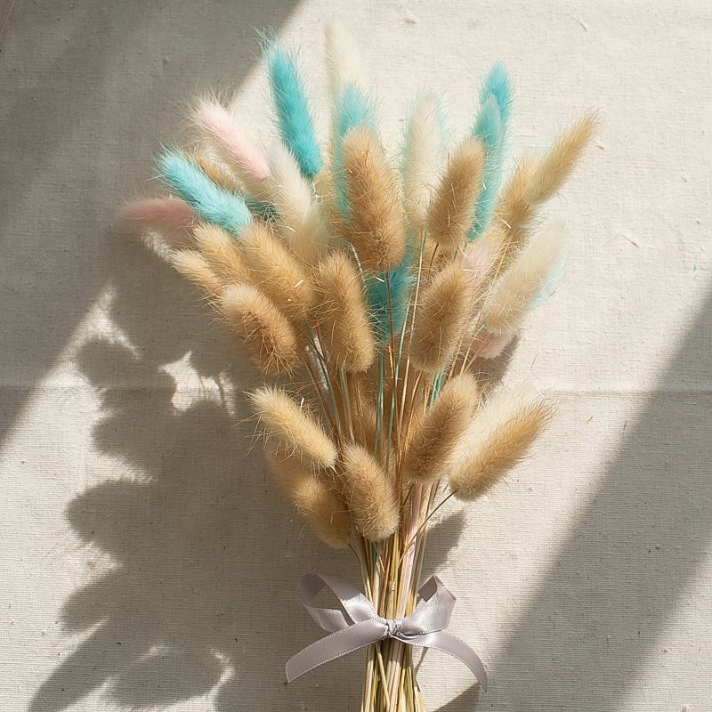 Factory Supply High Quality Bunny Tail Grass Dried Bouquet Rabbit Tail Grass For Home Decor Decorative Flowers