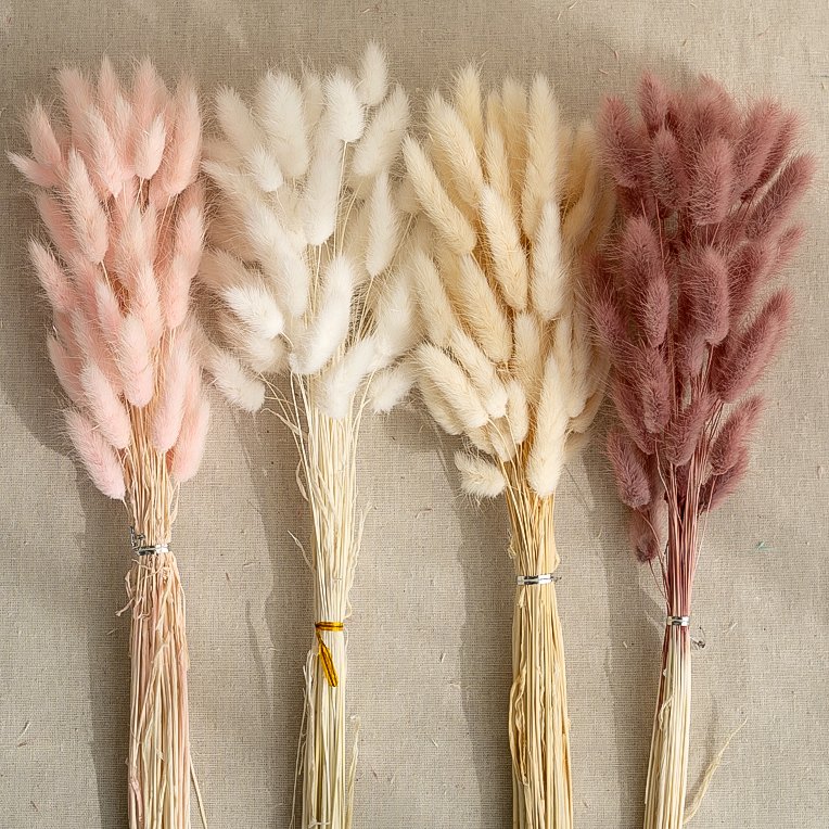 Factory Supply High Quality Bunny Tail Grass Dried Bouquet Rabbit Tail Grass For Home Decor Decorative Flowers