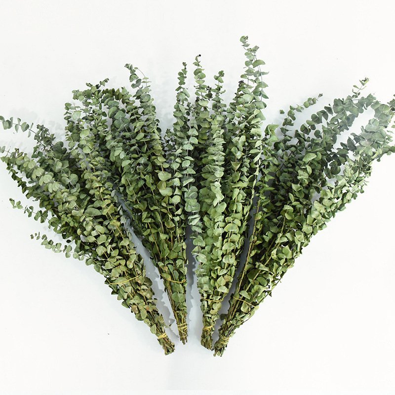 Wholesale dried flowers and plant flowers bouquet natural eucalyptus leaves for home weeding decoration