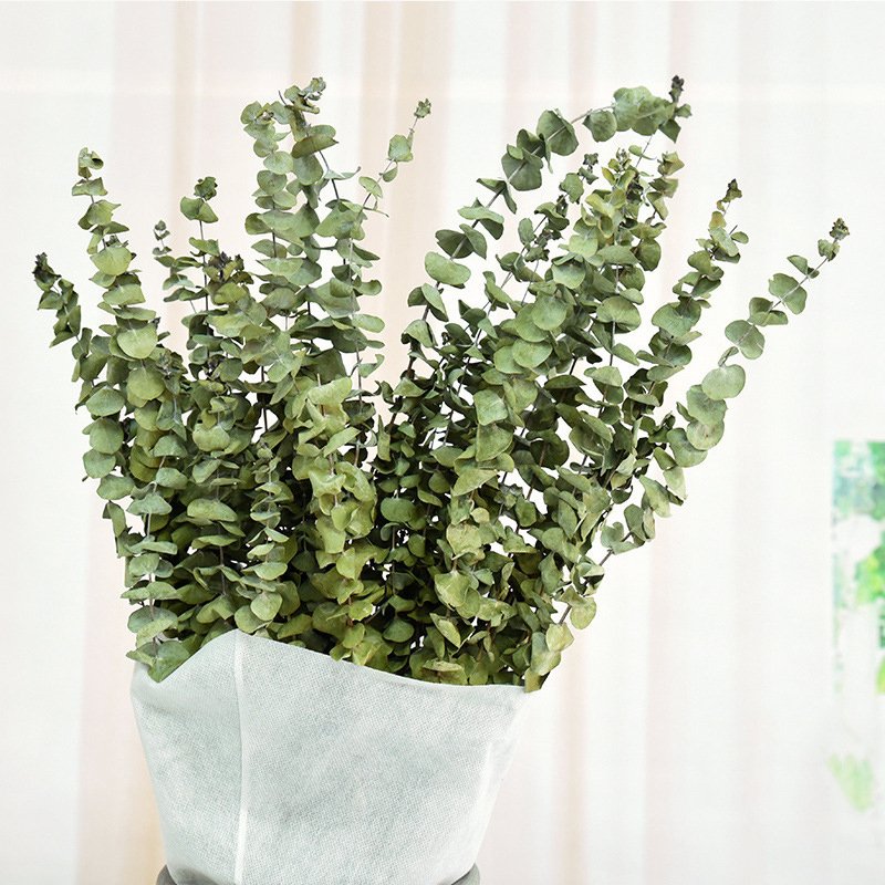 Wholesale dried flowers and plant flowers bouquet natural eucalyptus leaves for home weeding decoration