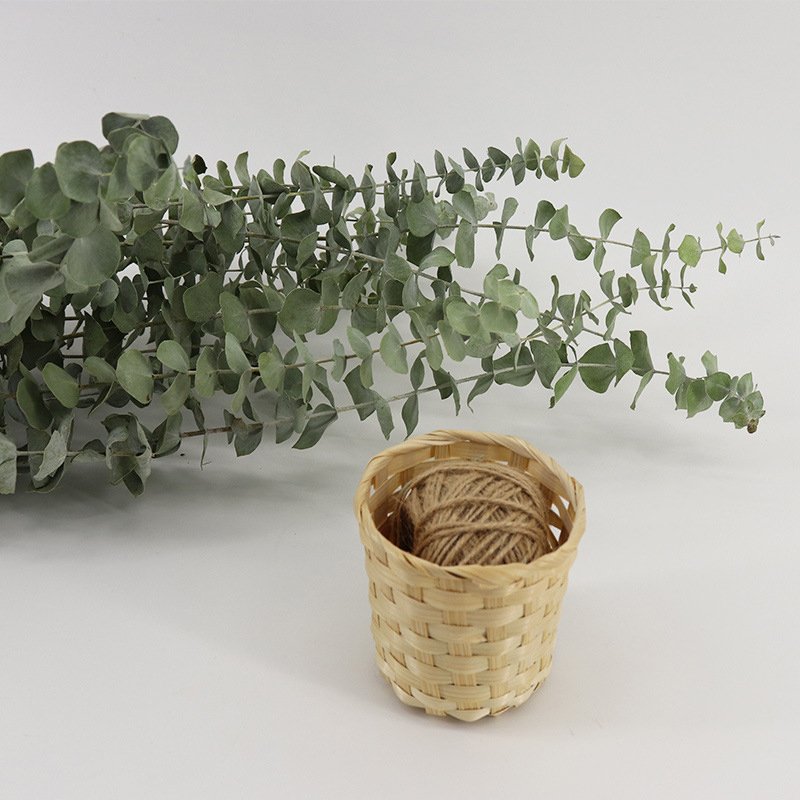 Wholesale dried flowers and plant flowers bouquet natural eucalyptus leaves for home weeding decoration