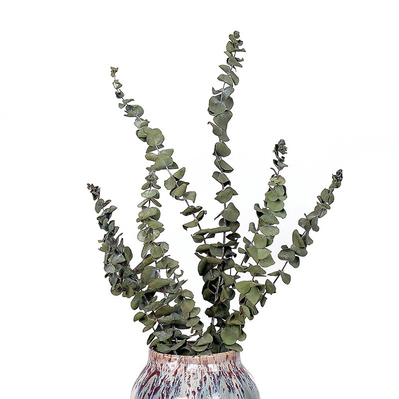 Wholesale dried flowers and plant flowers bouquet natural eucalyptus leaves for home weeding decoration