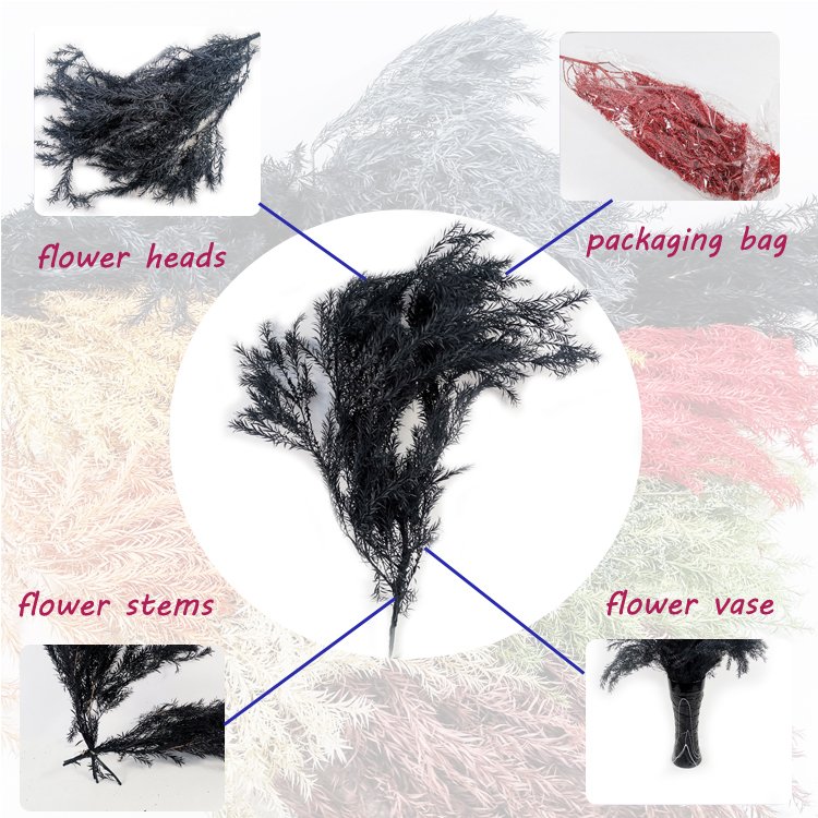 SumFlora China wholesale dried flowers for home decoration preserved flower melaleuca bracteata