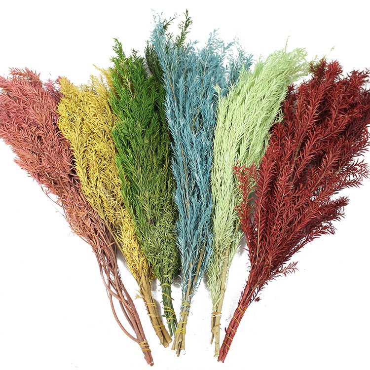 SumFlora China wholesale dried flowers for home decoration preserved flower melaleuca bracteata
