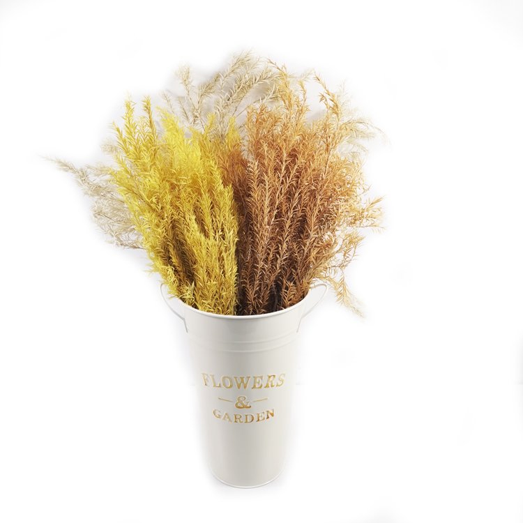 SumFlora China wholesale dried flowers for home decoration preserved flower melaleuca bracteata
