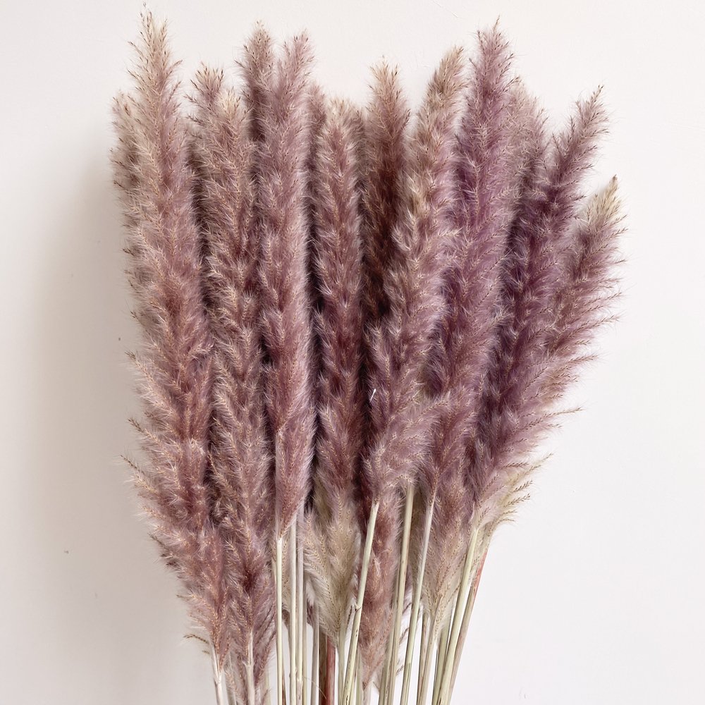 Natural Dried Pampas Grass Branches Dried Flowers Pampas Grass Reeds for Wedding Floral Arrangements Wall Bathroom Decor
