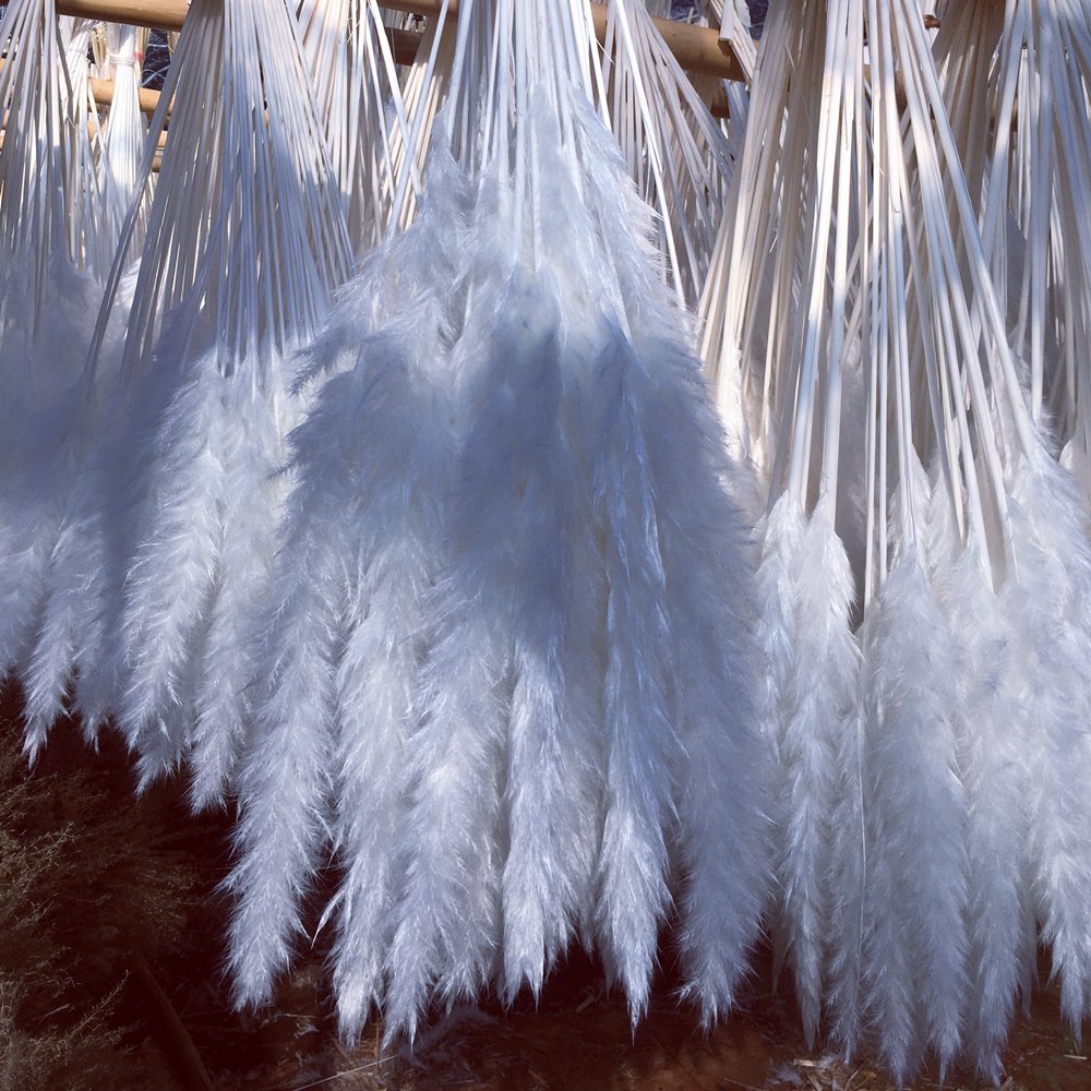 Natural Dried Pampas Grass Branches Dried Flowers Pampas Grass Reeds for Wedding Floral Arrangements Wall Bathroom Decor