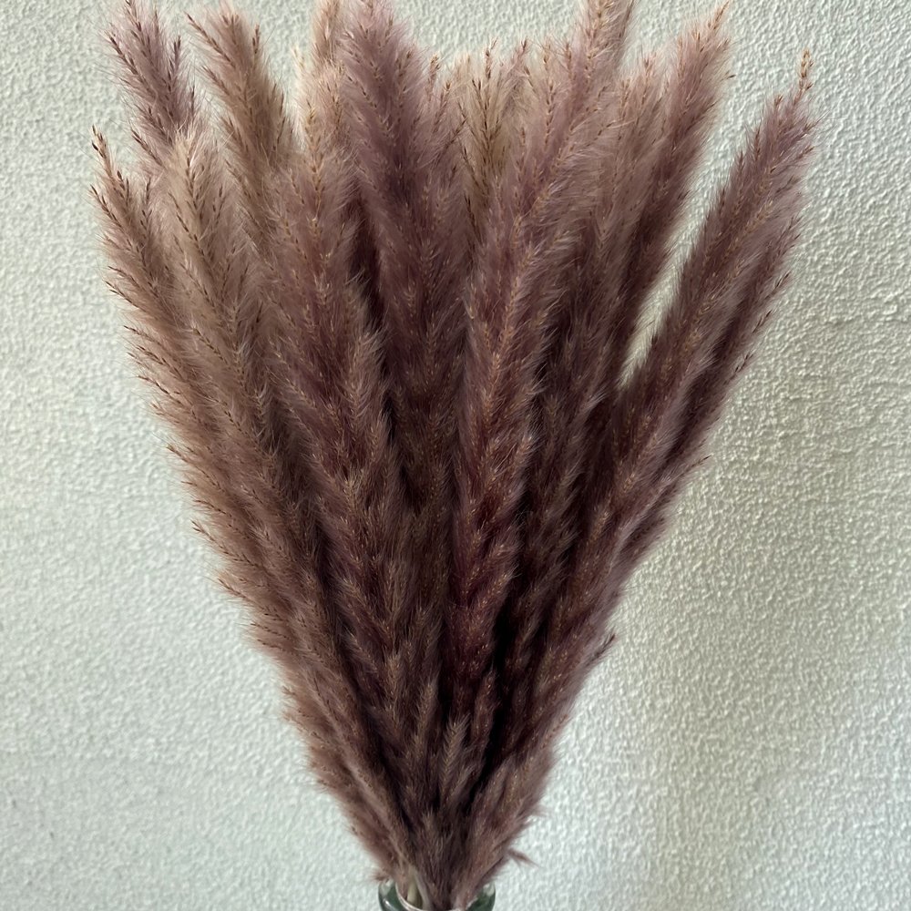 Natural Dried Pampas Grass Branches Dried Flowers Pampas Grass Reeds for Wedding Floral Arrangements Wall Bathroom Decor