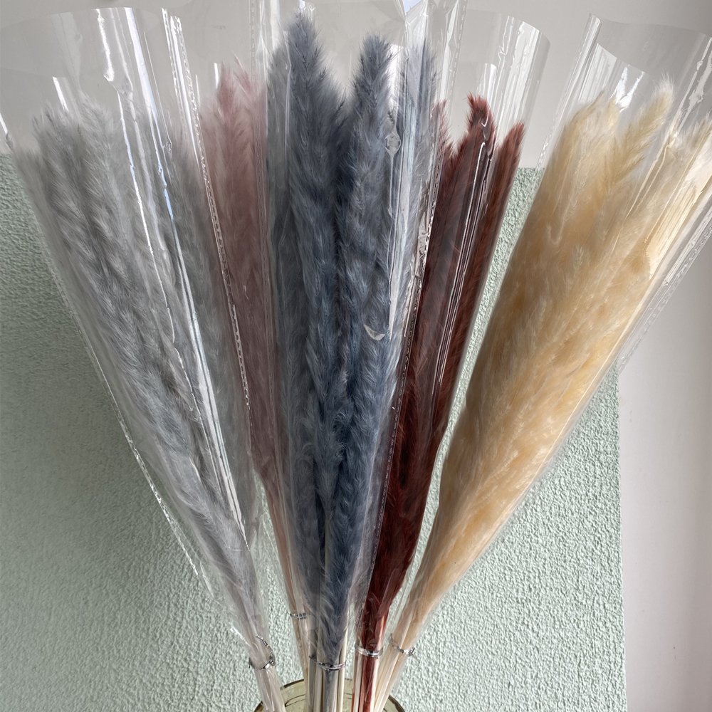 Natural Dried Pampas Grass Branches Dried Flowers Pampas Grass Reeds for Wedding Floral Arrangements Wall Bathroom Decor