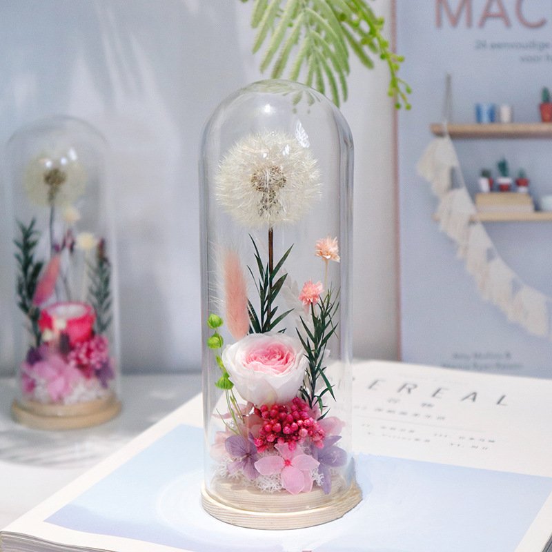 Natural Dandelion Dried Flower Dandelion Dried Flower Dry dandelion Specimen in Glass Dome for Unique Anniversary Birthday Gift