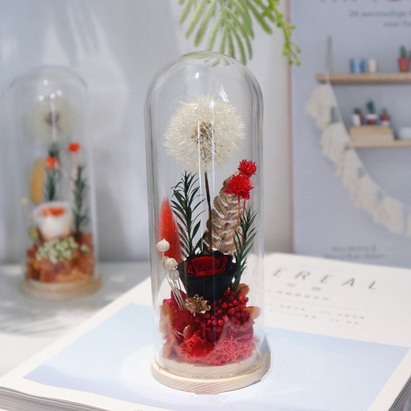 Natural Dandelion Dried Flower Dandelion Dried Flower Dry dandelion Specimen in Glass Dome for Unique Anniversary Birthday Gift