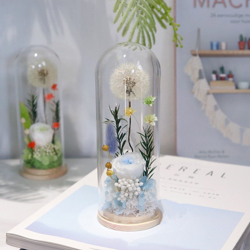 Natural Dandelion Dried Flower Dandelion Dried Flower Dry dandelion Specimen in Glass Dome for Unique Anniversary Birthday Gift