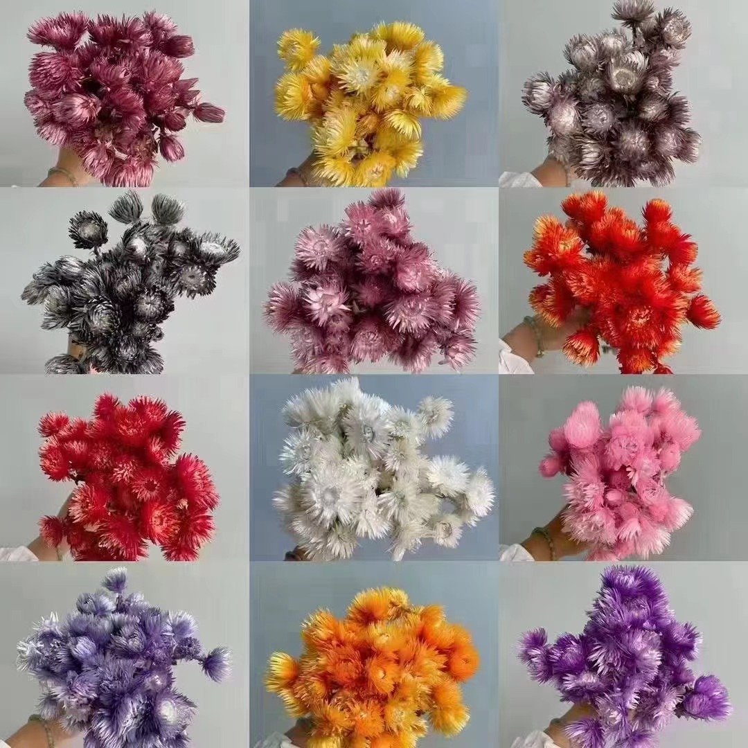 AX-45 hot selling product natural dried flower dried rock flower chrysanthemum for flower arrangement