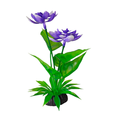 violet
