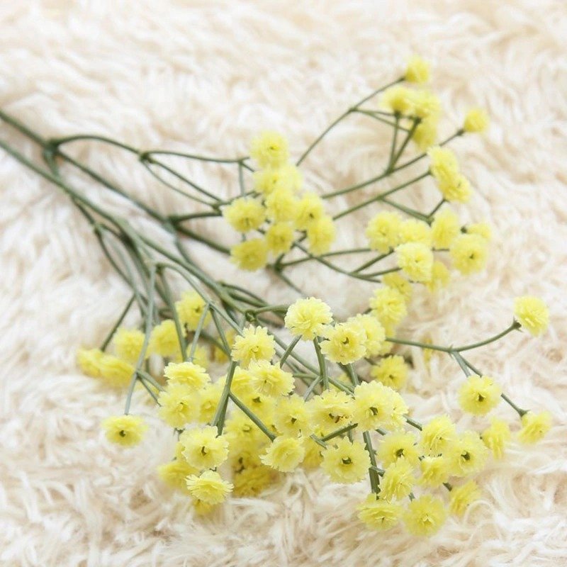 china factory supply colorful baby breath home decorative bouquet preserved gypsophila flower dried artificial flowers