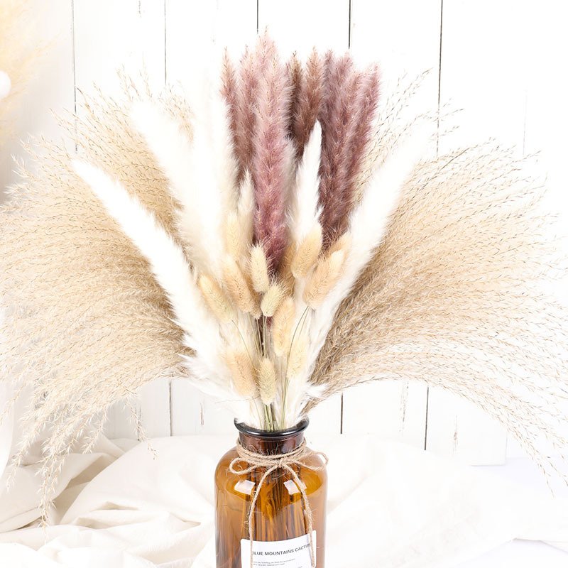 Natural Real Mix Dry Pampas Grass Flowers Bouquet Dried Pampas Grass for Party Decor