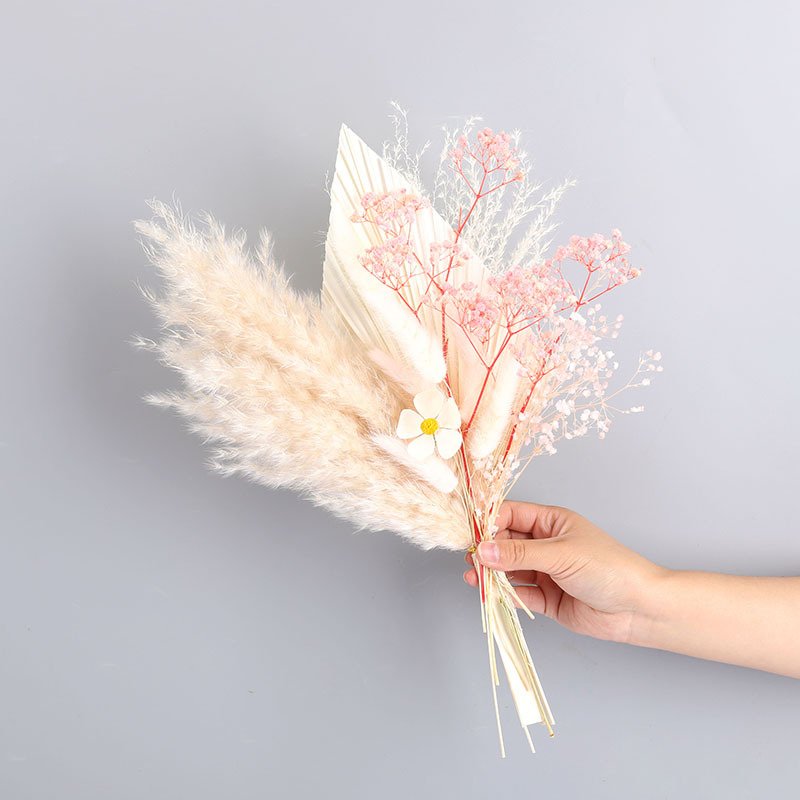 Natural Real Mix Dry Pampas Grass Flowers Bouquet Dried Pampas Grass for Party Decor