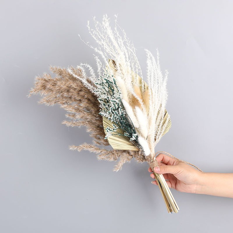 Natural Real Mix Dry Pampas Grass Flowers Bouquet Dried Pampas Grass for Party Decor