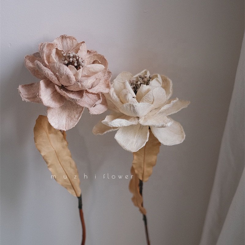 Wholesale Dried flowersr Peony Bulk flowers Handmade Flowers Wedding Background Home Decoration Handmade