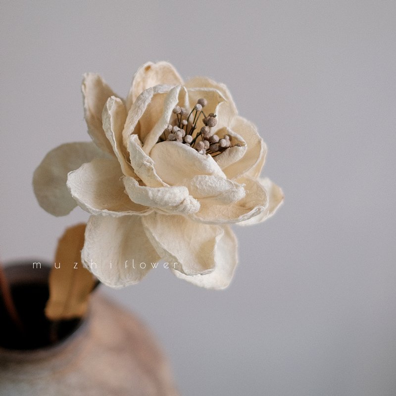 Wholesale Dried flowersr Peony Bulk flowers Handmade Flowers Wedding Background Home Decoration Handmade