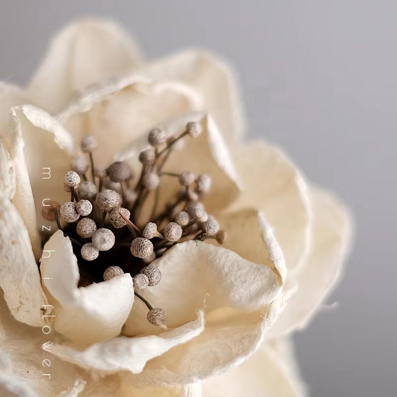 Wholesale Dried flowersr Peony Bulk flowers Handmade Flowers Wedding Background Home Decoration Handmade