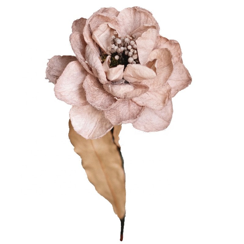 Wholesale Dried flowersr Peony Bulk flowers Handmade Flowers Wedding Background Home Decoration Handmade