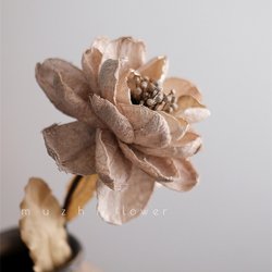 081