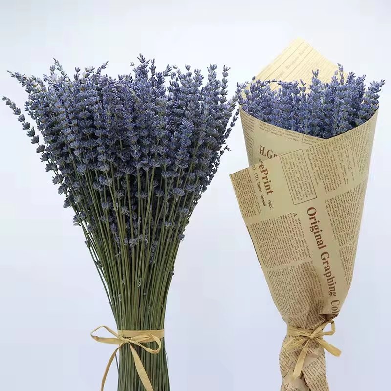 natural Real Dried flower preserved lavender For Boho Decor Home Decoration