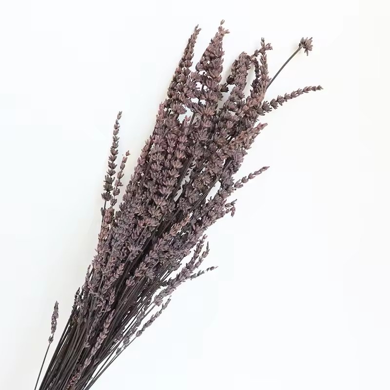 natural Real Dried flower preserved lavender For Boho Decor Home Decoration