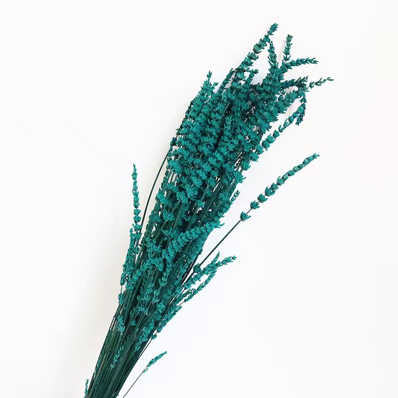 natural Real Dried flower preserved lavender For Boho Decor Home Decoration