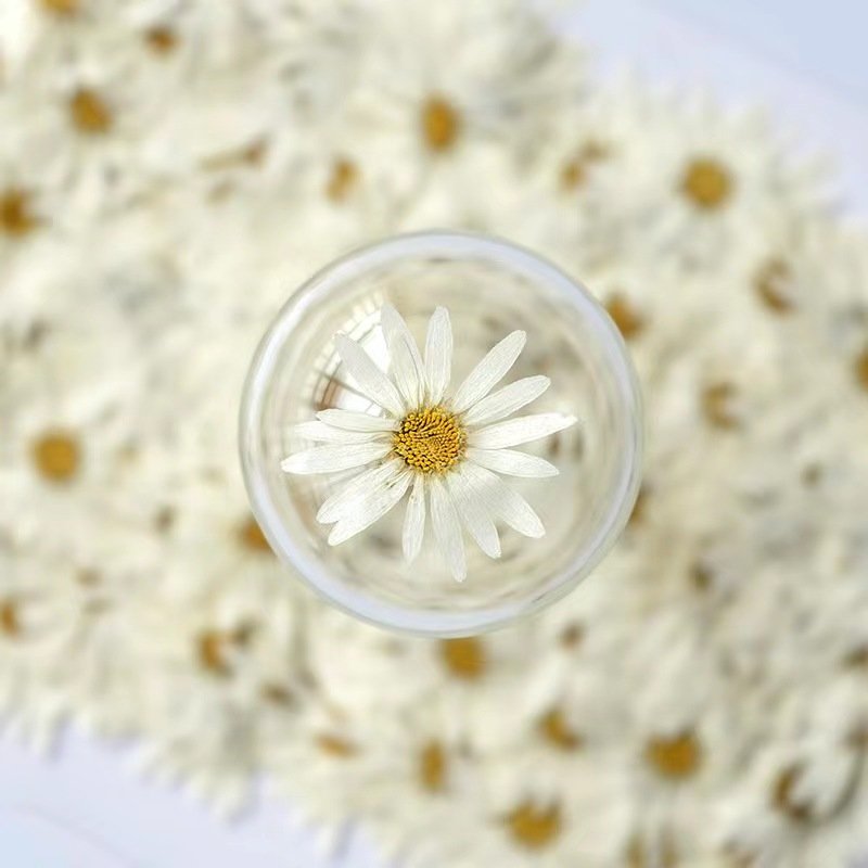 MNR2018 Mini daisy real flower petals artificial flower for DIY phone case resin