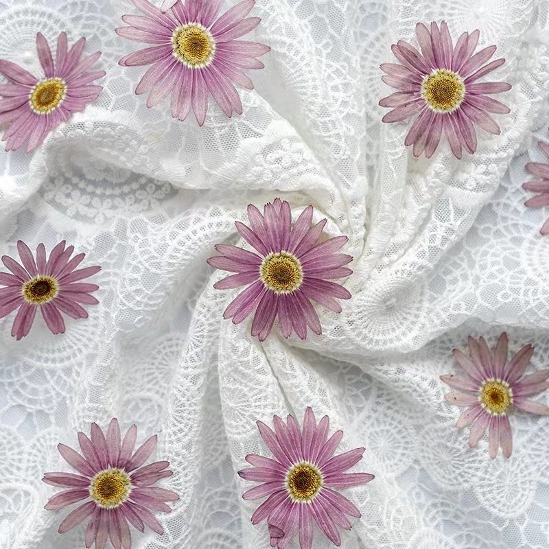MNR2018 Mini daisy real flower petals artificial flower for DIY phone case resin
