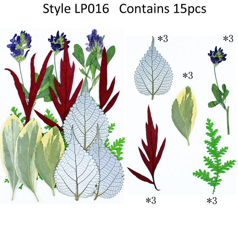 New Style Hot Selling Preserved Fern Leaves Mixed Real Dried Pressed Flower Leaves For Nail Art Resin Jewelry Accessory