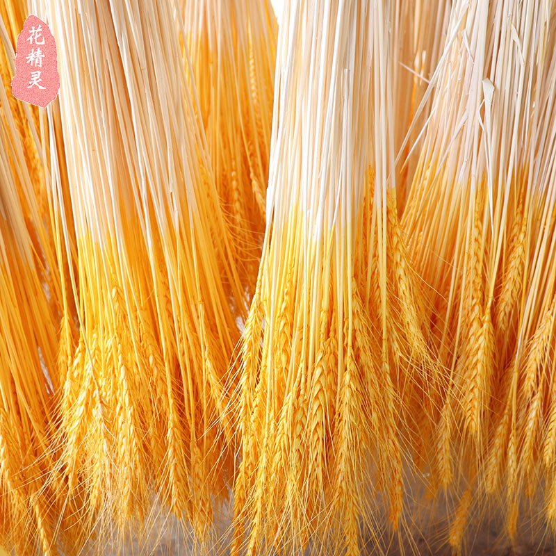 Real Preserved Flower White Green Color Dried Wheat Bouquet For Shop Home Indoor Decor