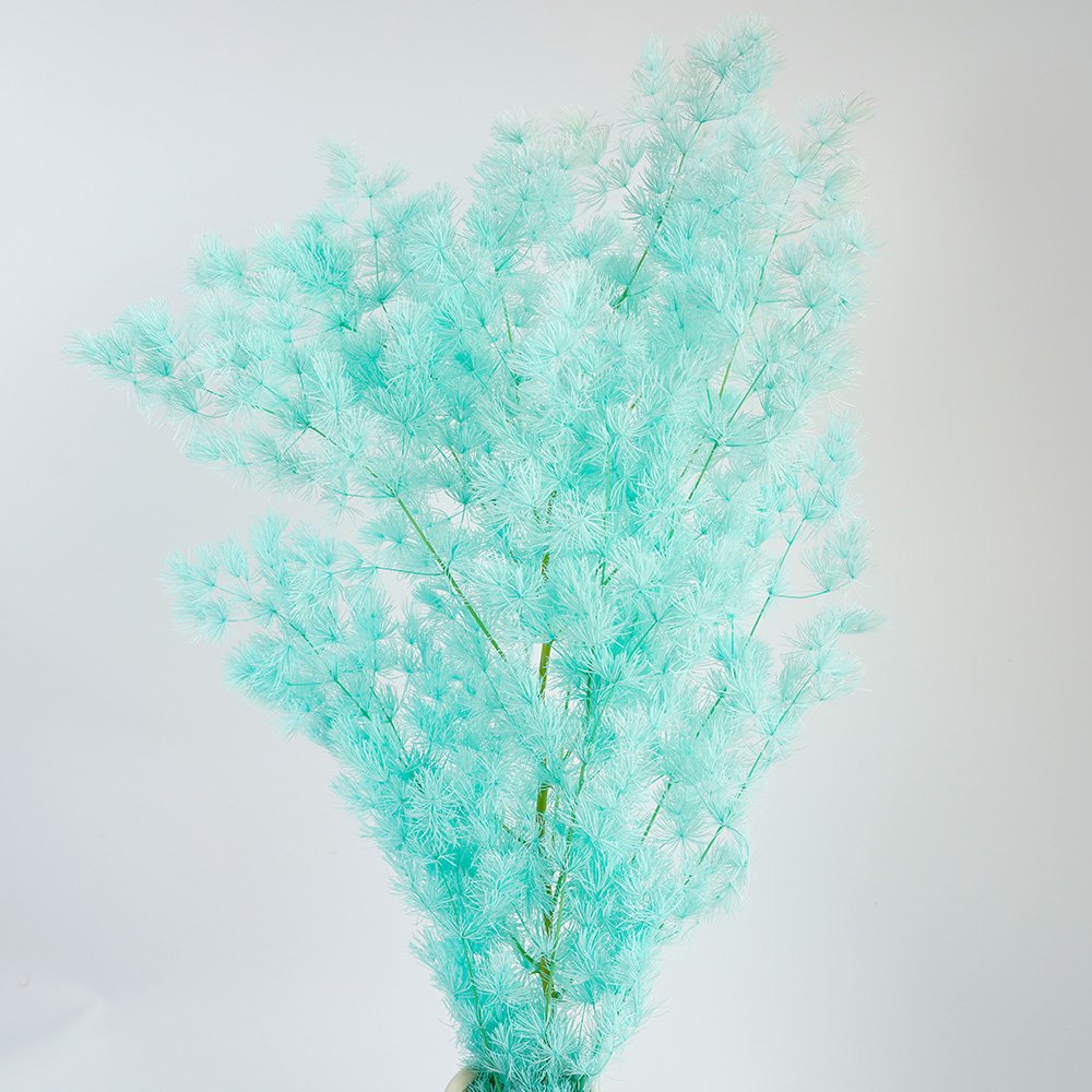 Manufacturer Natural Dried Flower Immortal Flower Preserved Plants Penglai Pine for Home Party Wedding Decoration
