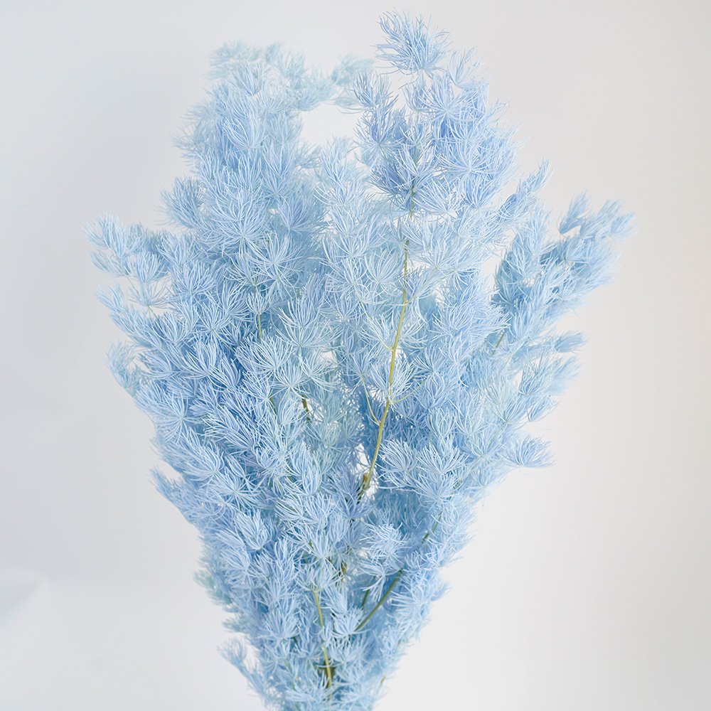Manufacturer Natural Dried Flower Immortal Flower Preserved Plants Penglai Pine for Home Party Wedding Decoration