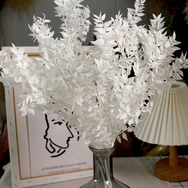 Dried Real White Eucalyptus Italian Ruscus Stems Preserved Bleached Eucalyptus Small leaves