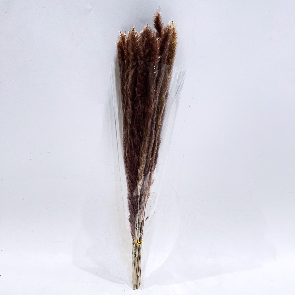 Dried Pampas Grass Decor Pampas Reed Grass Bouquet Dried Flower Bouquet