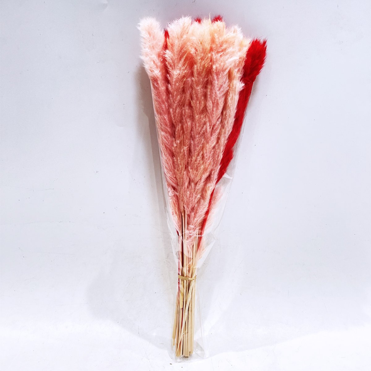 Dried Pampas Grass Decor Pampas Reed Grass Bouquet Dried Flower Bouquet